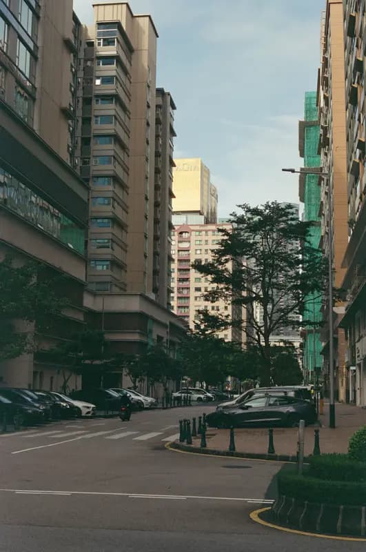 Film photograph shot on Kodak Vision3 250D with a Canon AE-1 Program by Zigao Wang