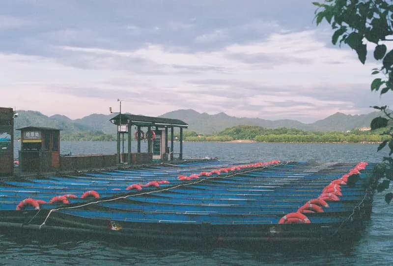 Film photograph shot on Fujifilm Superia Premium 400 with a Canon AE-1 Program by Zigao Wang