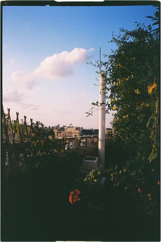 Film photograph shot on Kodak UltraMax 400 with a Konica Big Mini BM-201 by Zigao Wang
