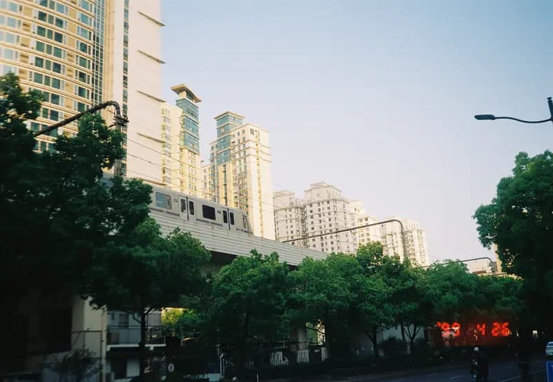 Film photograph shot on Kodak Gold 200 with an Olympus Mju-I by CJ Liu