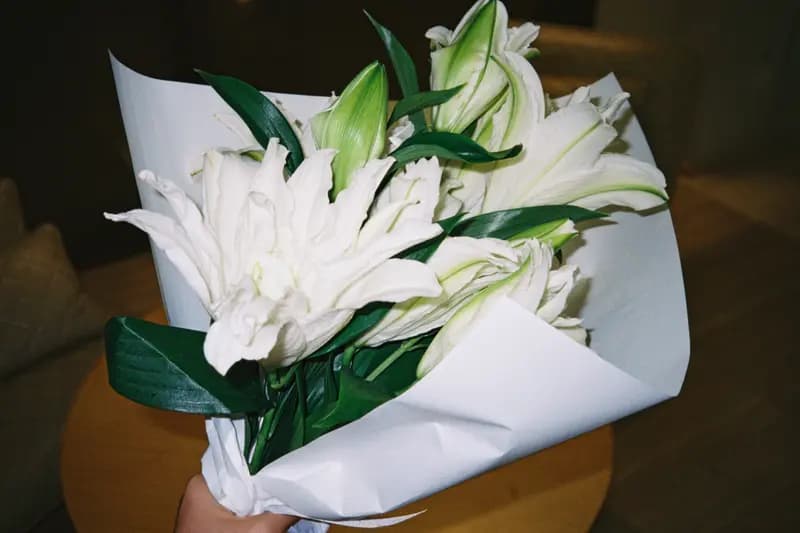Film photograph shot on Kodak UltraMax 400 with a Canon Autoboy FXL by Febe Mo