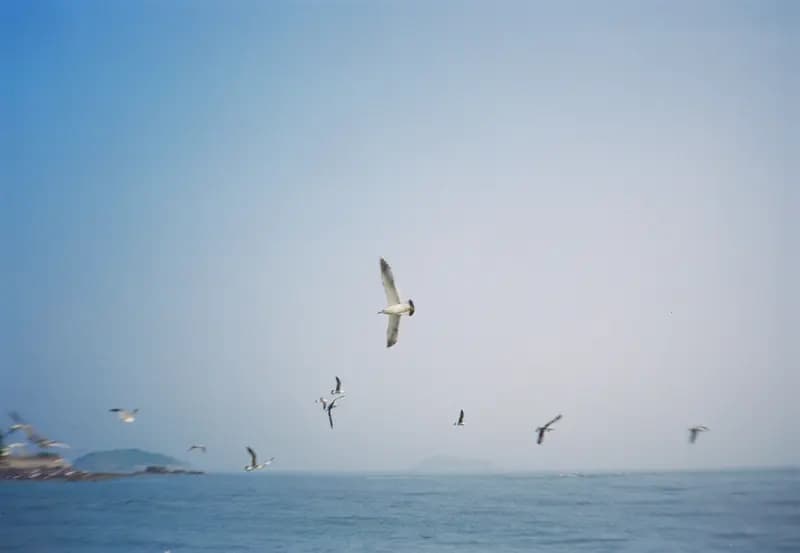 Film photograph shot on Kodak Vision3 250D with an Olympus Mju-I by CJ Liu