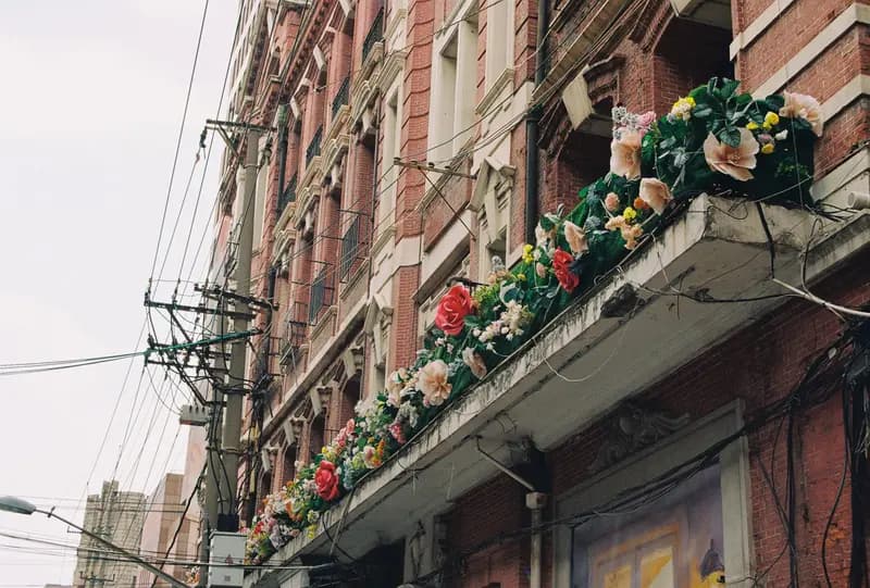 Sample photo shot on Kodak ColorPlus 200