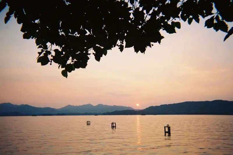 Film photograph shot on Kodak Gold 800 with a Kodak FunSaver by Max Du