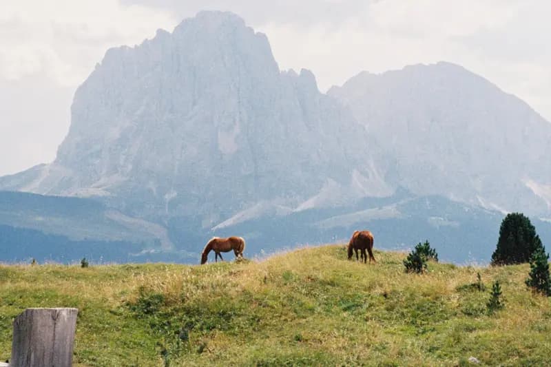 Sample photo shot on Fujifilm 400