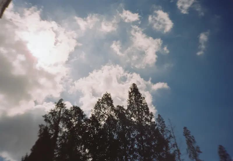 Film photograph shot on Kodak Vision3 250D with an Olympus Mju-I by CJ Liu