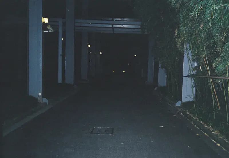 Film photograph shot on Kodak Gold 200 with an Olympus Mju-I by CJ Liu