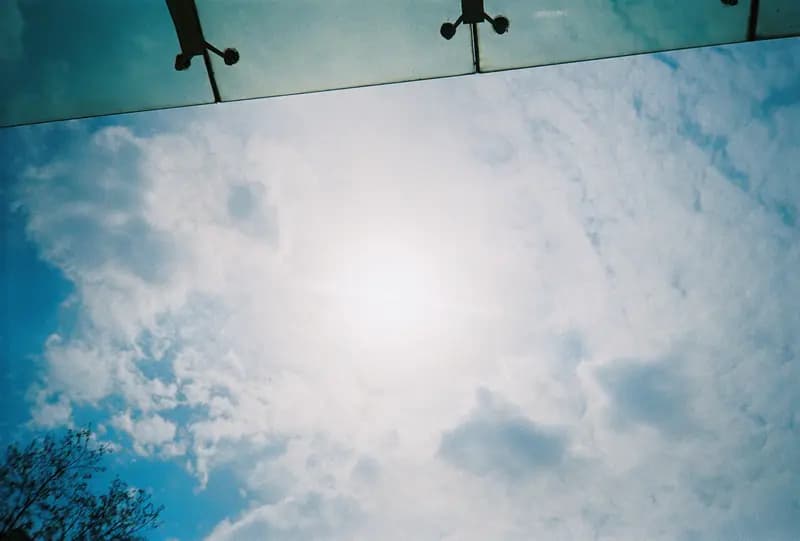 Film photograph shot on Kodak Gold 200 with an Olympus Mju-I by CJ Liu