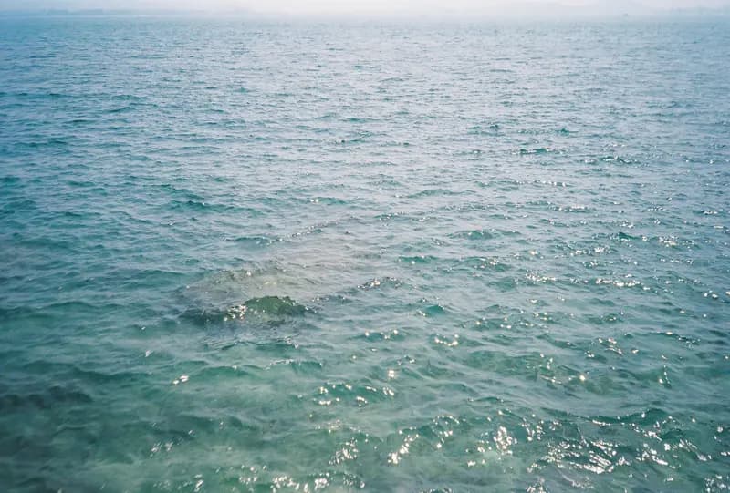 Sample photo shot on Kodak Gold 200