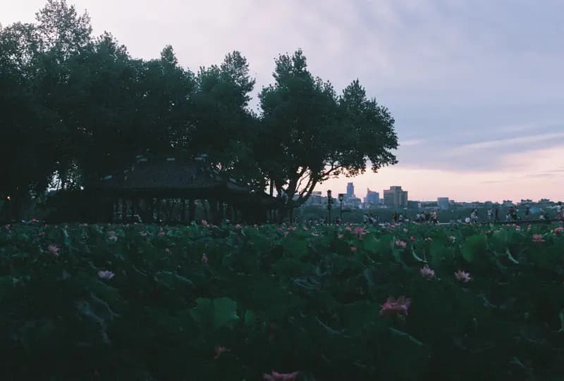 Film photograph shot on Fujifilm Superia Premium 400 with a Canon AE-1 Program by Zigao Wang