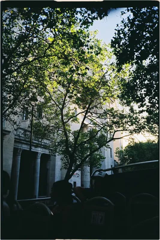 Film photograph shot on Kodak Gold 200 with a Konica Big Mini BM-201 by Zigao Wang