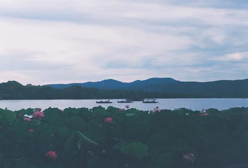 Film photograph shot on Kodak UltraMax 400 with a Canon AE-1 Program by Zigao Wang