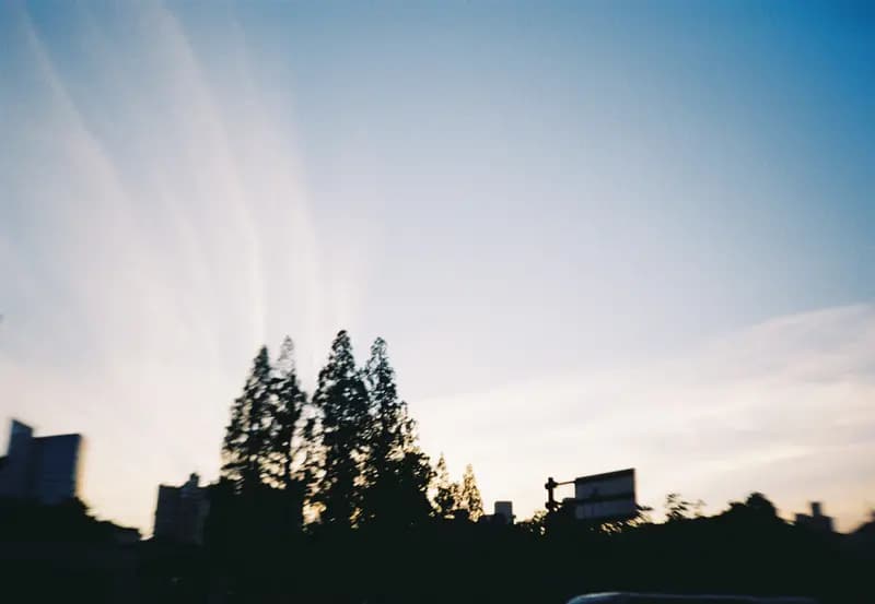 Film photograph shot on Kodak Gold 200 with an Olympus Mju-I by CJ Liu